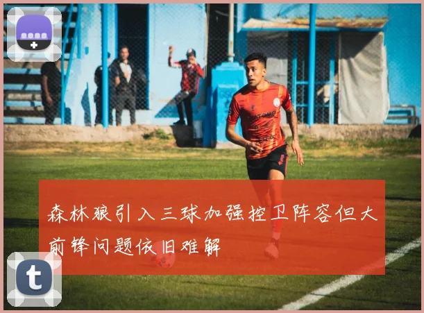 森林狼引入三球加强控卫阵容但大前锋问题依旧难解